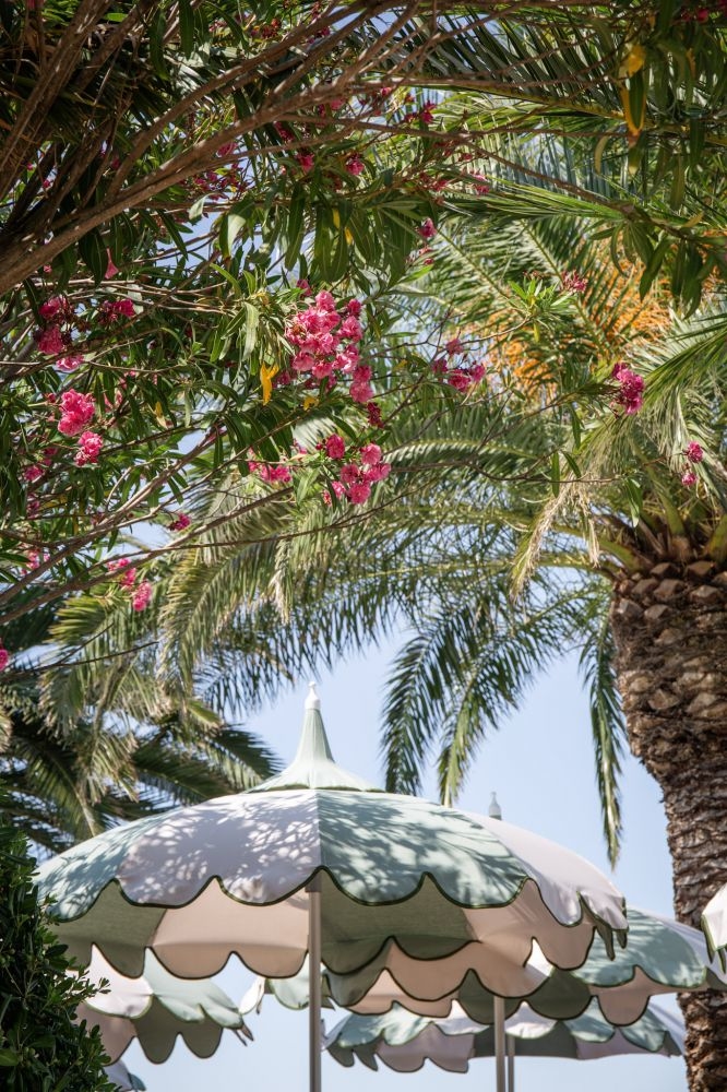 parasols